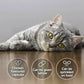 Scientific Remedies Cystophan Urinary Health Support For Cat - 30 Capsules