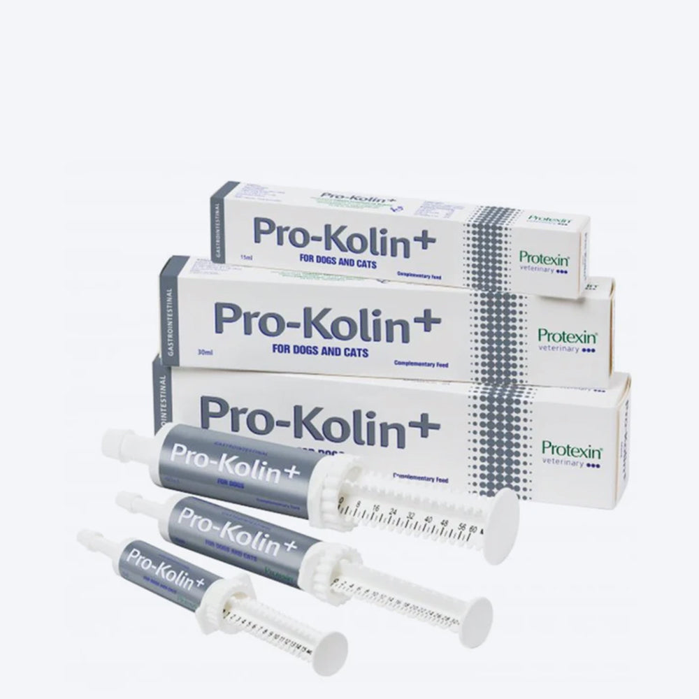 Scientific Remedies Pro-Kolin Digestive Aid Liquid For Dog & Cat