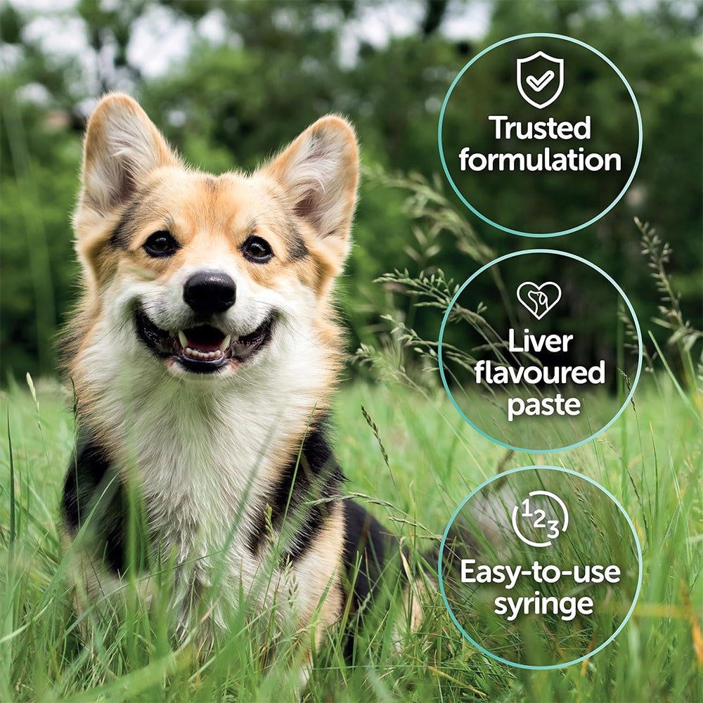 Scientific Remedies Pro-Kolin Digestive Aid Liquid For Dog & Cat