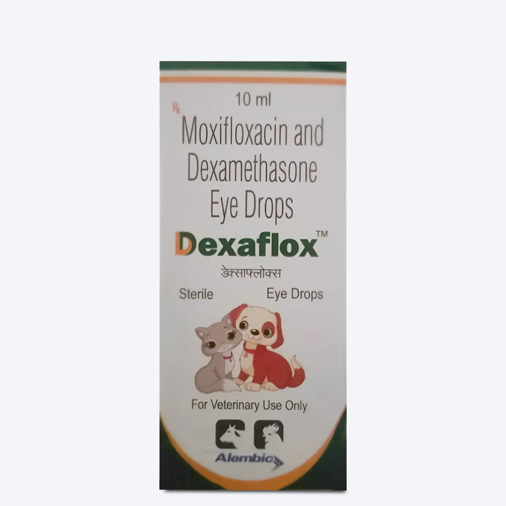 Intas Dexaflox Eye Infection Treatment Eye Drops For Dog & Cat - 10 ml - Heads Up For Tails