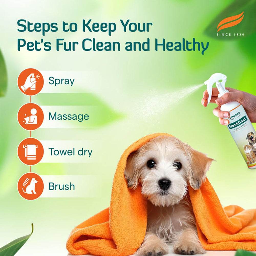 Himalaya Fresh Coat Herbal Dry Bath For Dog & Cat