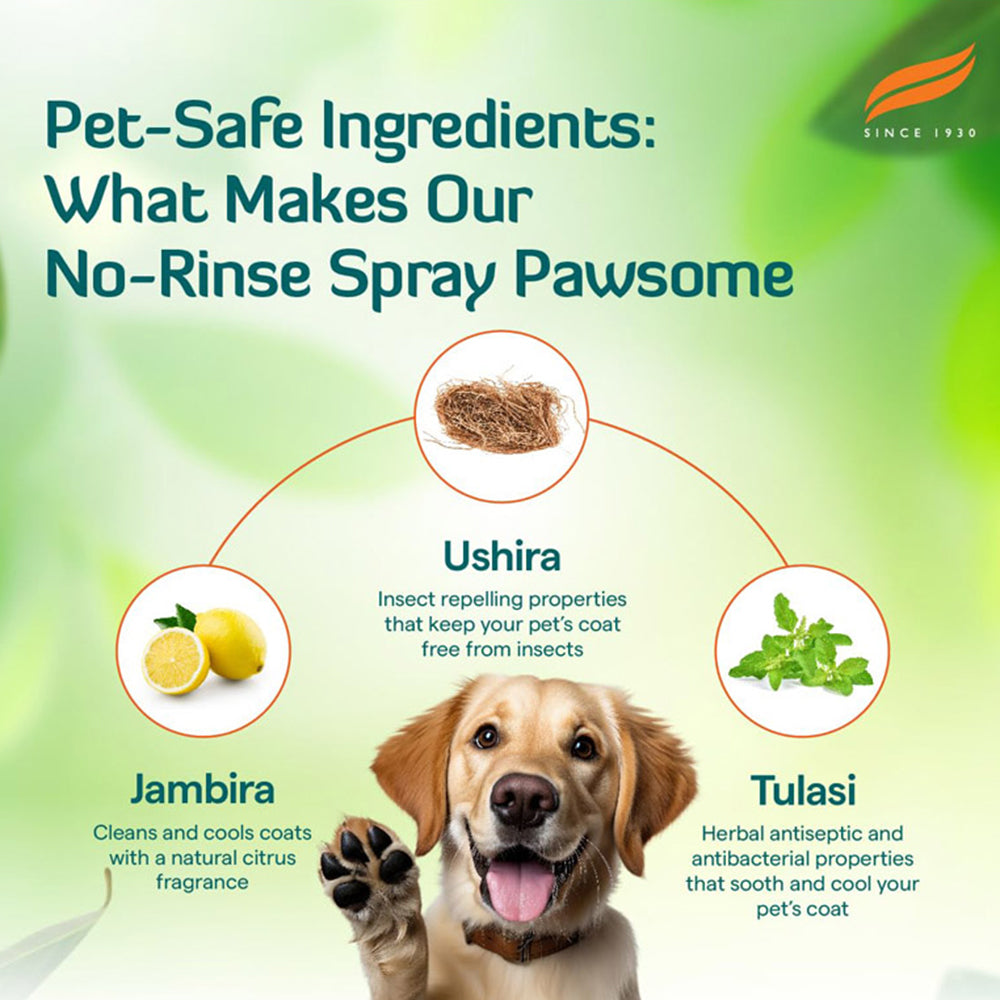 Himalaya Fresh Coat Herbal Dry Bath For Dog & Cat