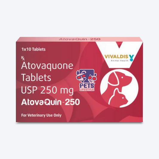 Vivaldis Atovaquin Antiprotozoal Tablets 250 mg For Dog & Cat - 10 Tablets - Heads Up For Tails