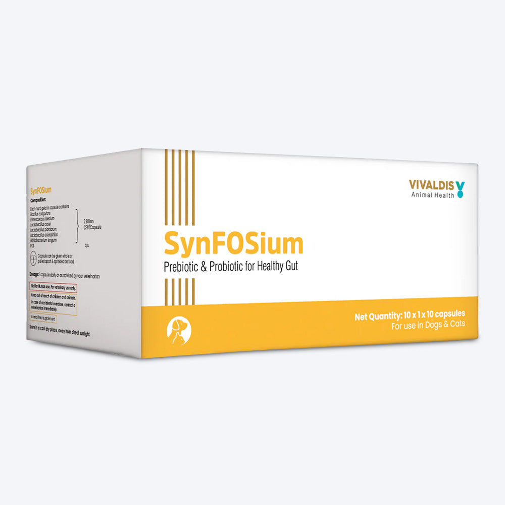 Vivaldis RX Synfosium Bone & Joint Support Capsules For Dog & Cat - 10x10 Caps - Heads Up For Tails
