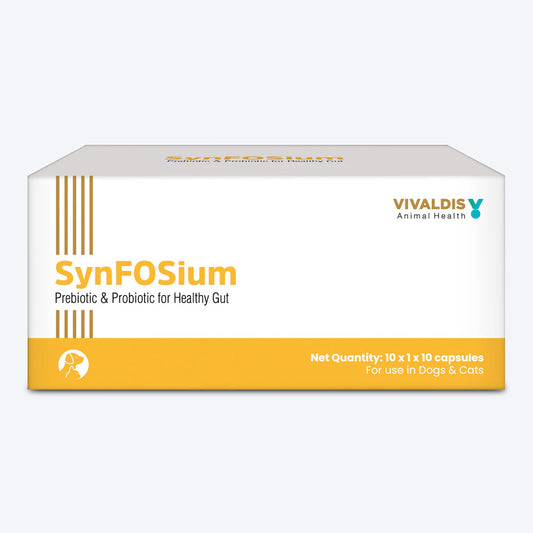Vivaldis RX Synfosium Bone & Joint Support Capsules For Dog & Cat - 10x10 Caps - Heads Up For Tails