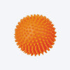 Trixie Hedgehog Ball Latex Toy For Dogs - Heads Up For Tails