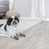 Trixie Non-Slip Socks for Dogs - Grey - 1 Pair ( 2 socks Covers 2 Paws Only) - Heads Up For Tails