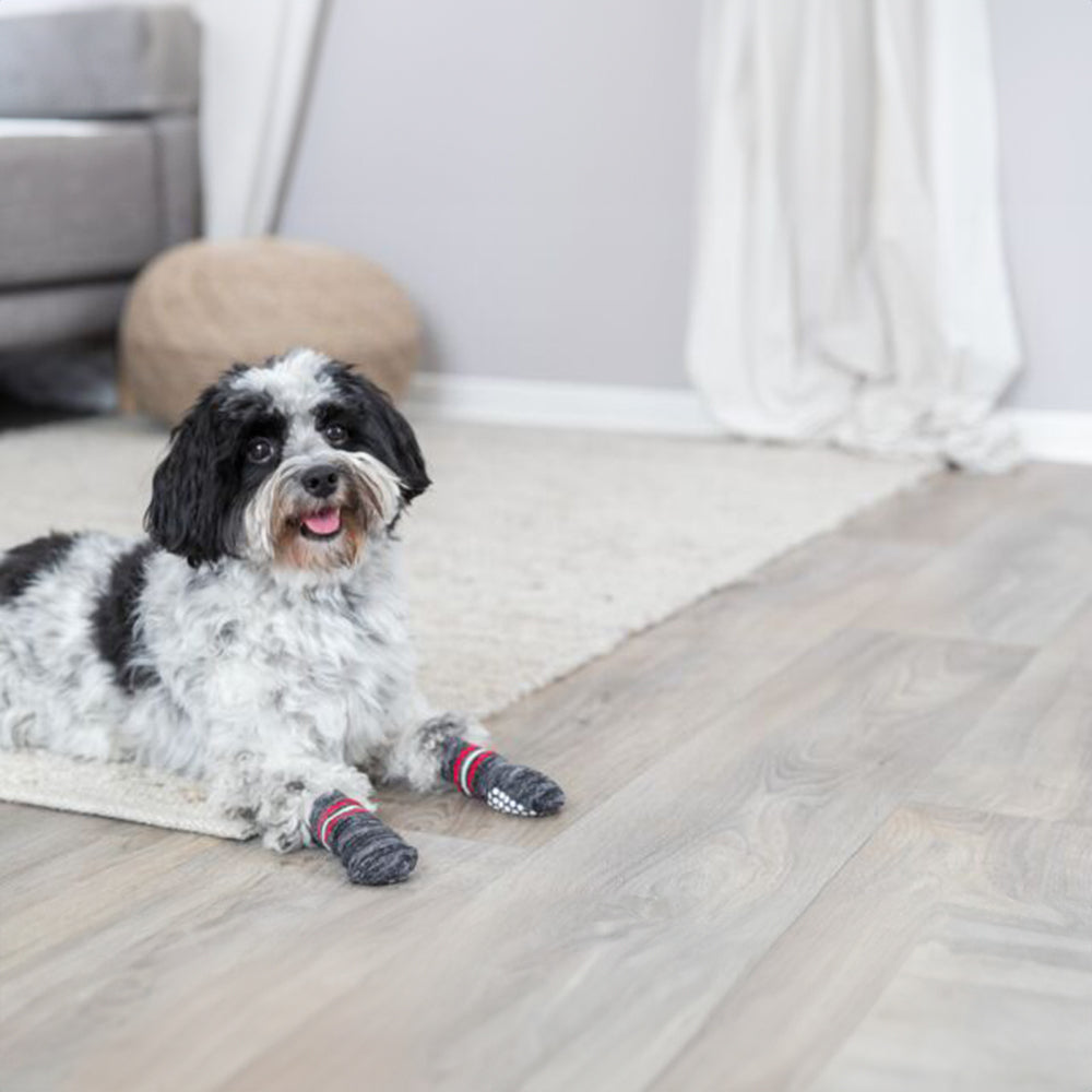 Trixie Non-Slip Socks for Dogs - Grey - 1 Pair ( 2 socks Covers 2 Paws Only) - Heads Up For Tails