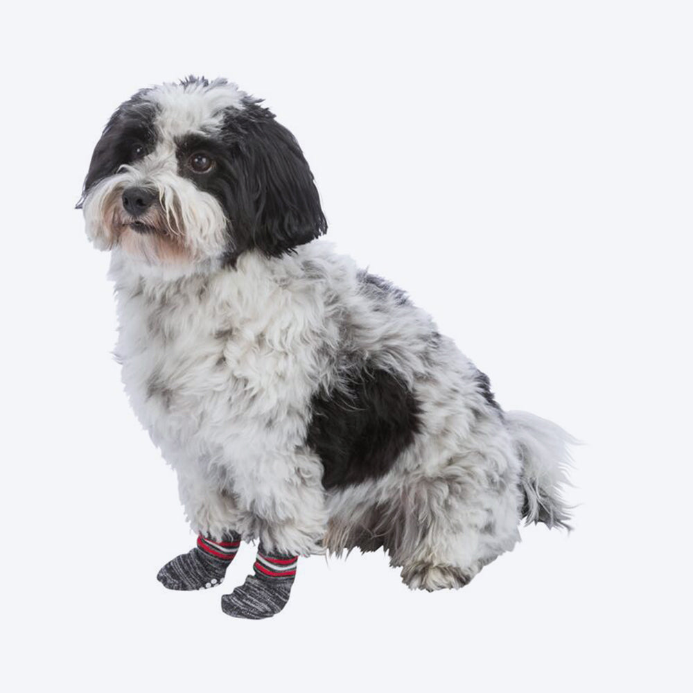 Trixie Non-Slip Socks for Dogs - Grey - 1 Pair ( 2 socks Covers 2 Paws Only) - Heads Up For Tails