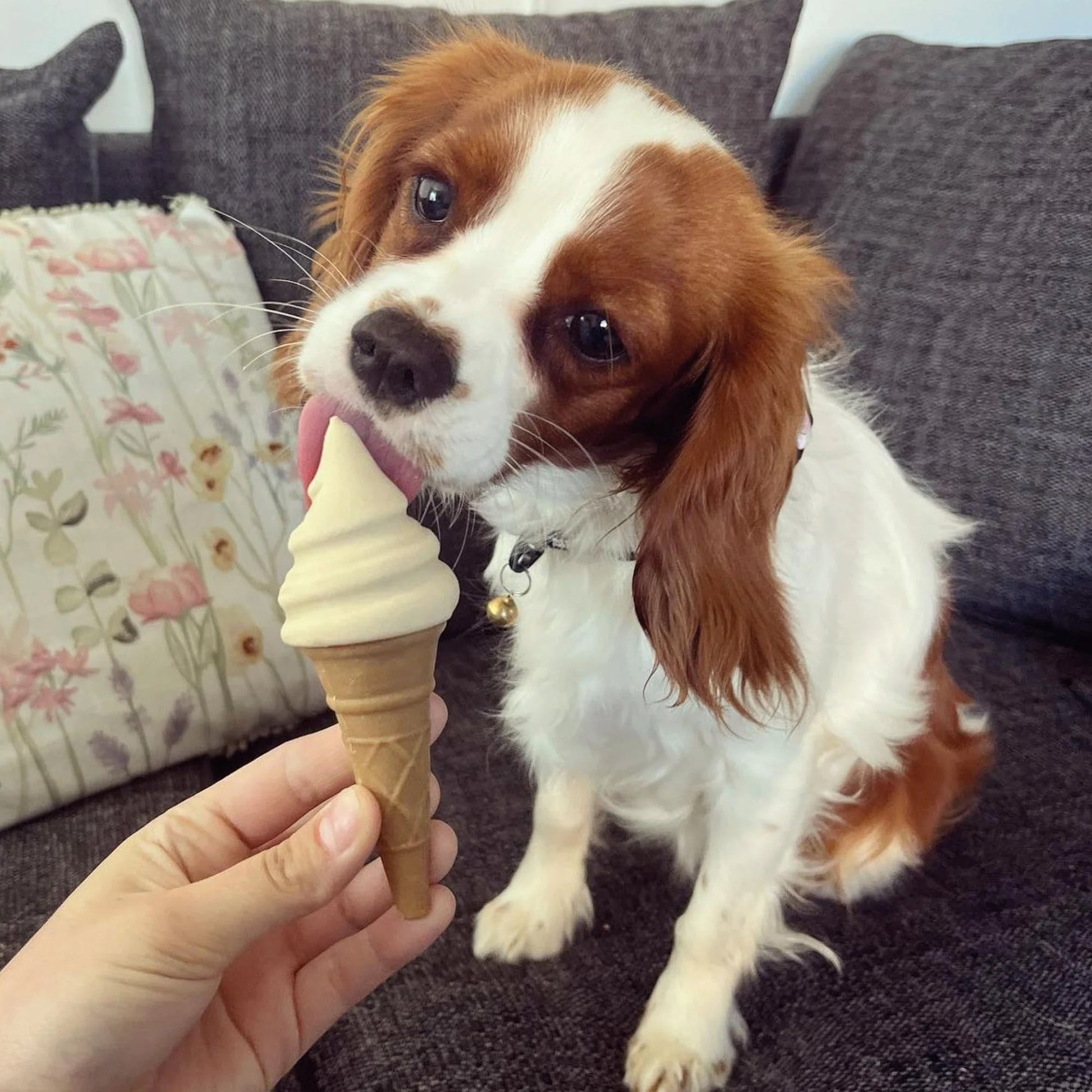 Pup Ice Waffle Cones Vanilla & Peanut Butter Ready To Freeze Treat For Adult Dog - 110 gm - Heads Up For Tails