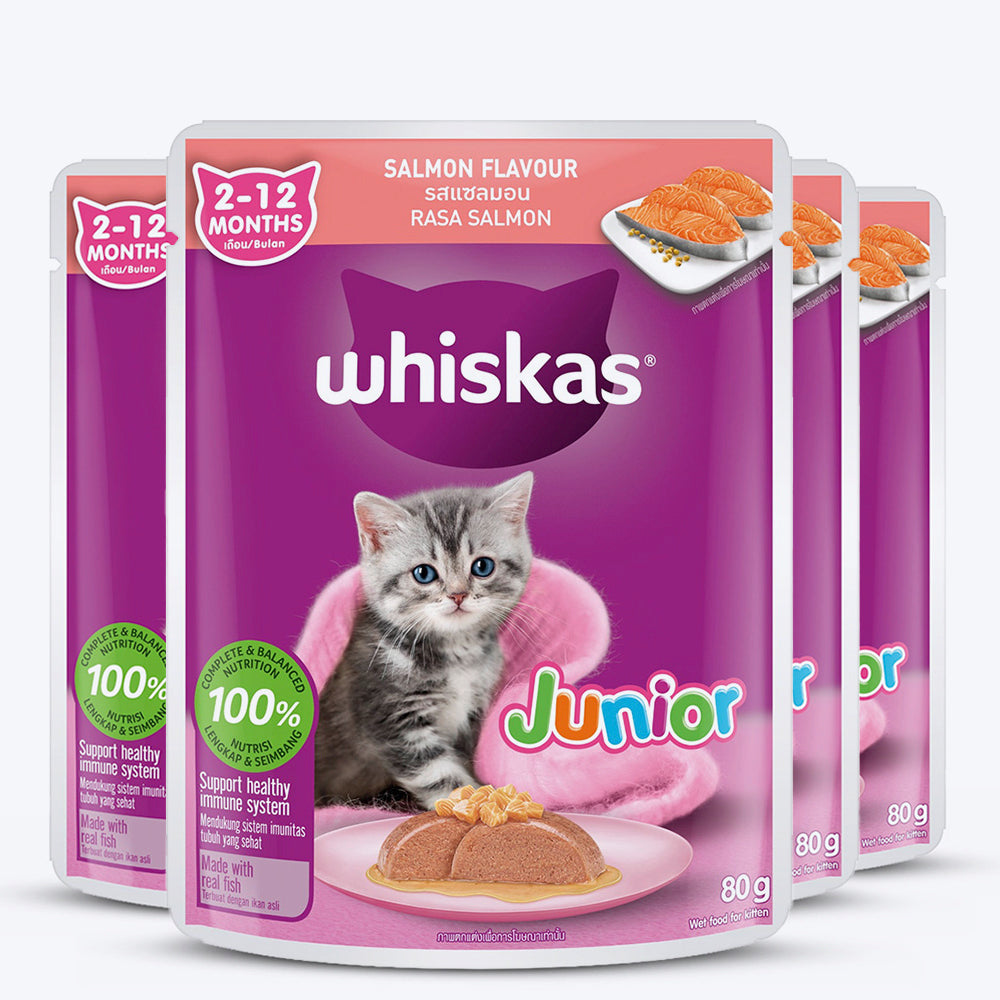 Whiskas Junior Kitten (2-12 Months) Salmon in Jelly Flavour Wet Cat Food - 80 gm Pack