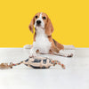 FOFOS Panda Squeaky With Flossy Rope Dog Toy - Black - Heads Up For Tails