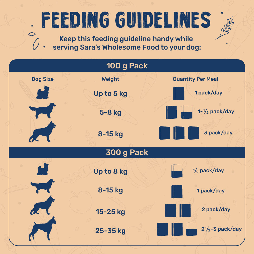 Sara's Wholesome Classic Paneer & Veggies Ready-to-Eat Vegetarian Dog Food – Human-Grade, Preservative-Free - Heads Up For Tails