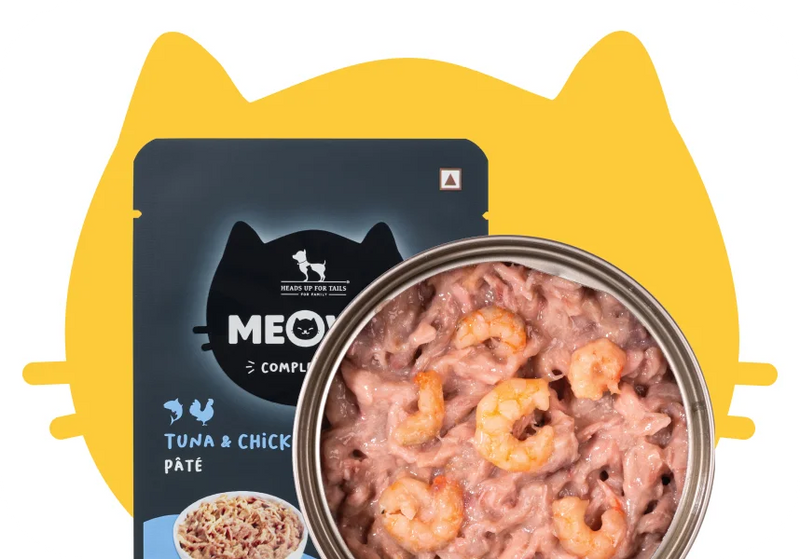 Pǎtè | ₹129 onwards