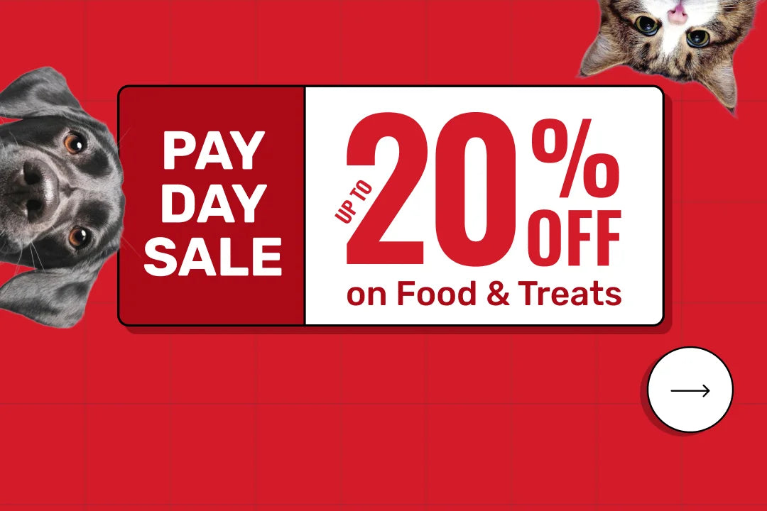 Pay Day Sale - HUFT