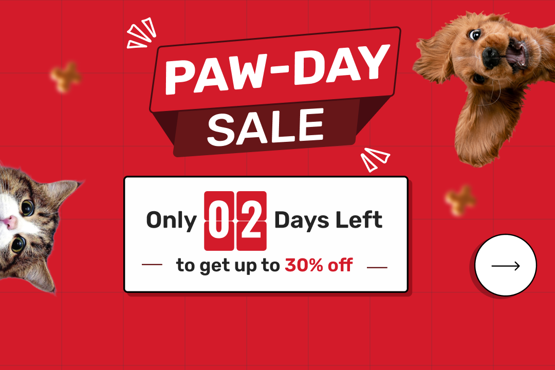 Pay Day Sale
