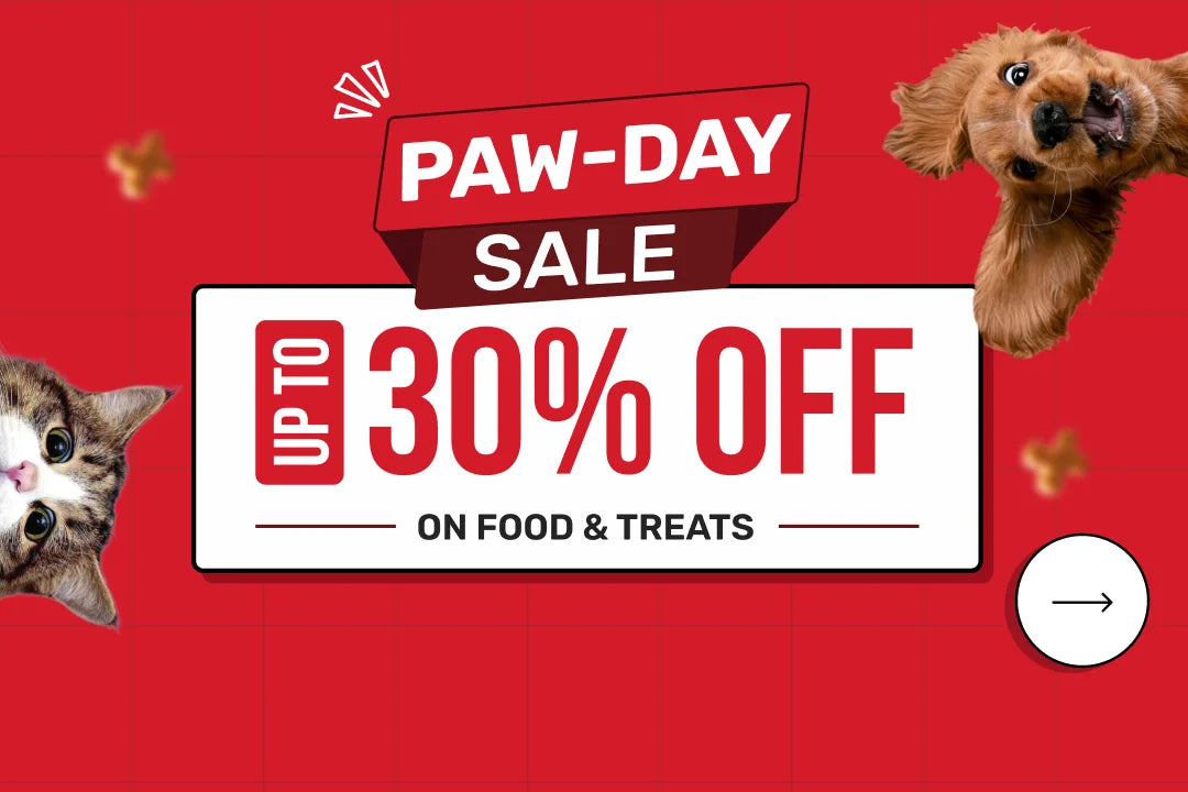 Pay Day Sale
