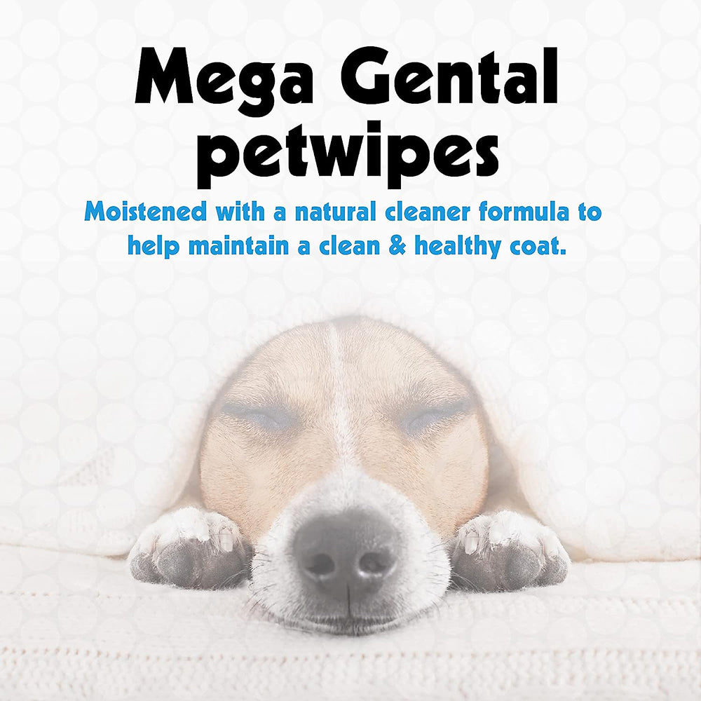 Petkin Petwipes - Heads Up For Tails