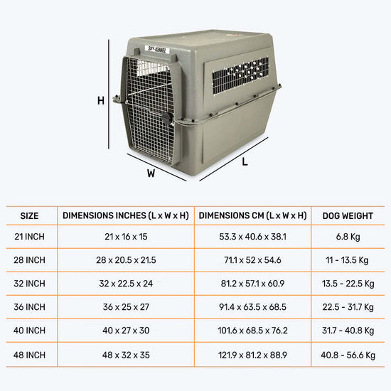 Order Petmate Sky Kennel Pet Carrier Online HUFT Heads Up For Tails