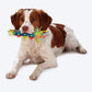 Petstages Cool Teething Stick Dog Toy_04