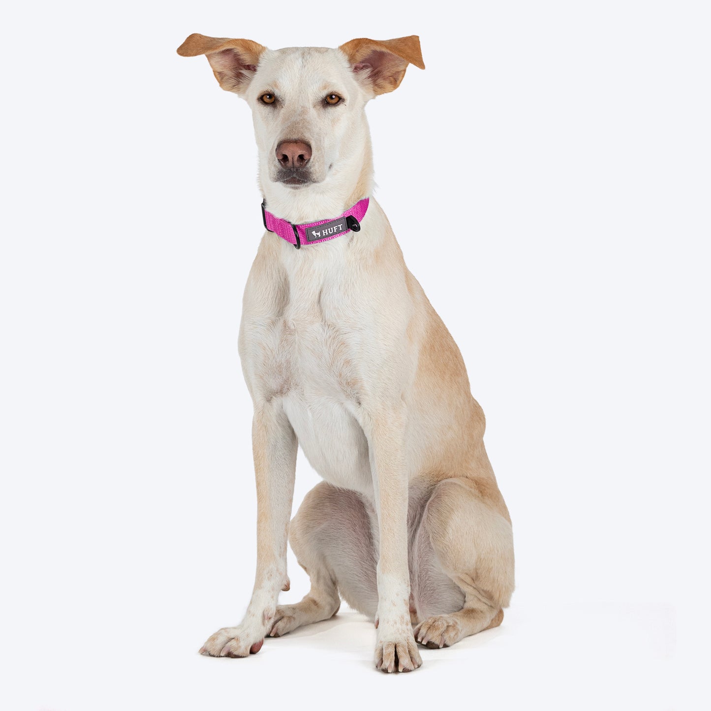 HUFT Basics Dog Collar - Pink - Heads Up For Tails