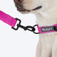 HUFT Basics Dog Collar - Pink - Heads Up For Tails