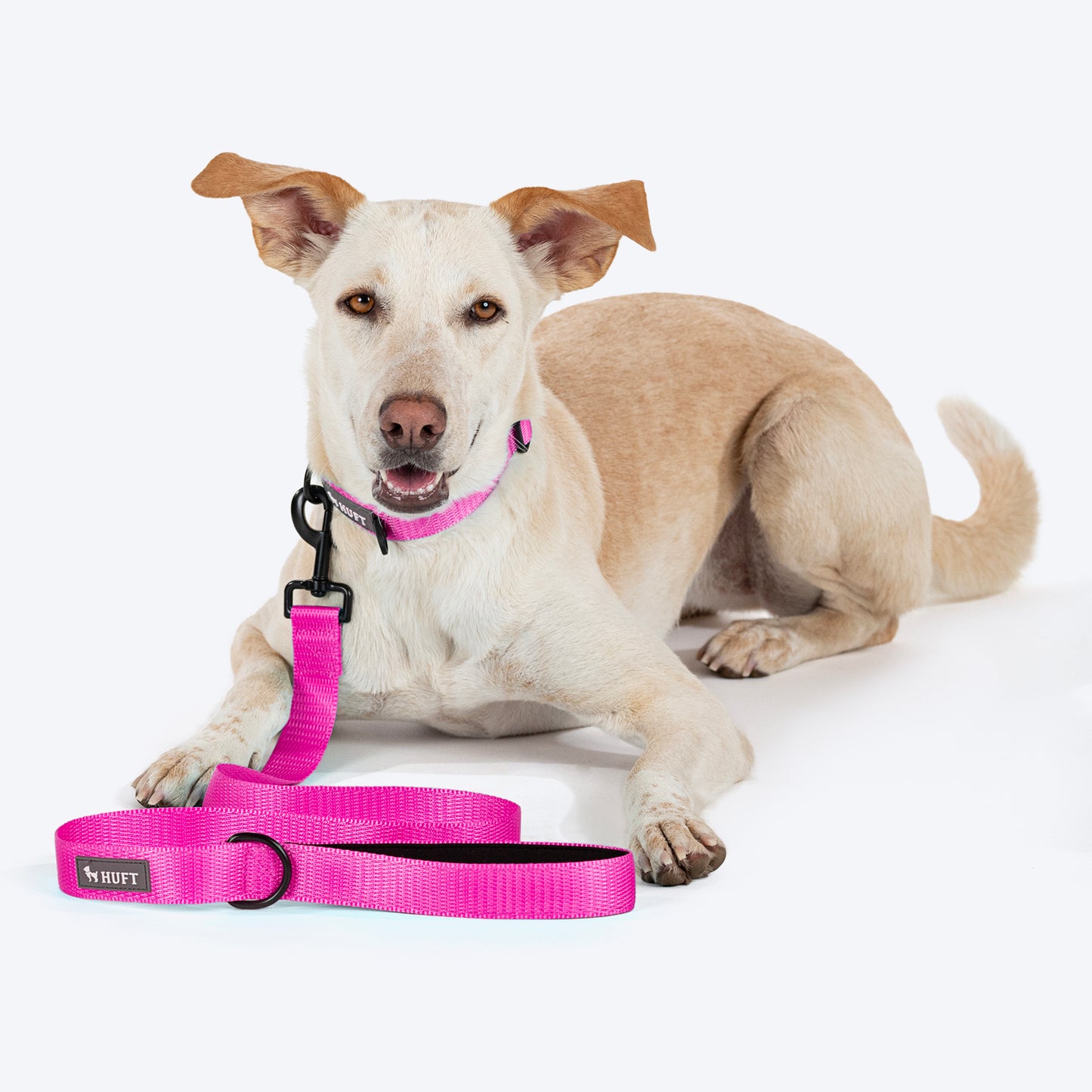 HUFT Basics Dog Leash - Pink - Heads Up For Tails