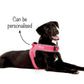HUFT Easy On Dog Harness - Pink (Can be Personalised) - Heads Up For Tails
