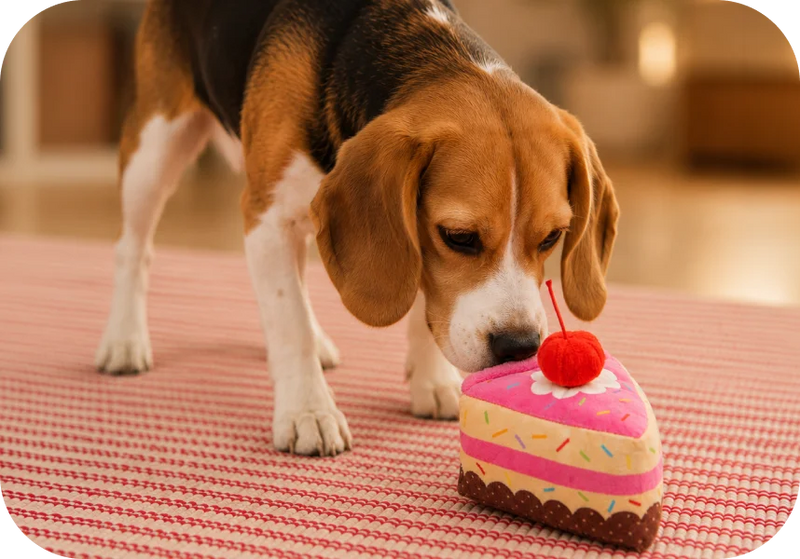 Plush Toys →