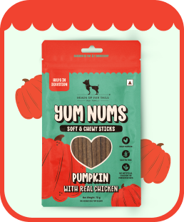 Pumpkin & Real Chicken