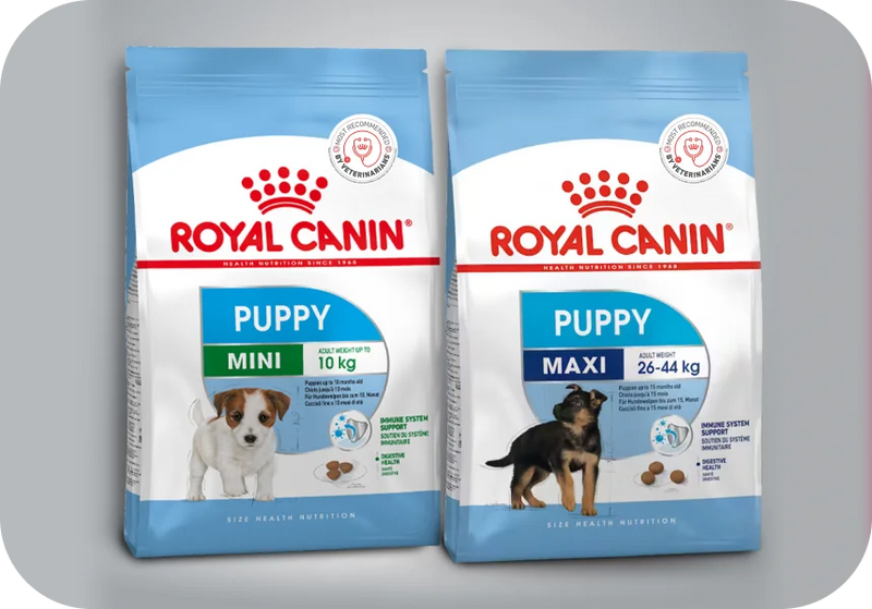 Puppy Food