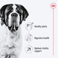 Royal Canin Giant Adult Dry Dog Food - Heads Up For Tails