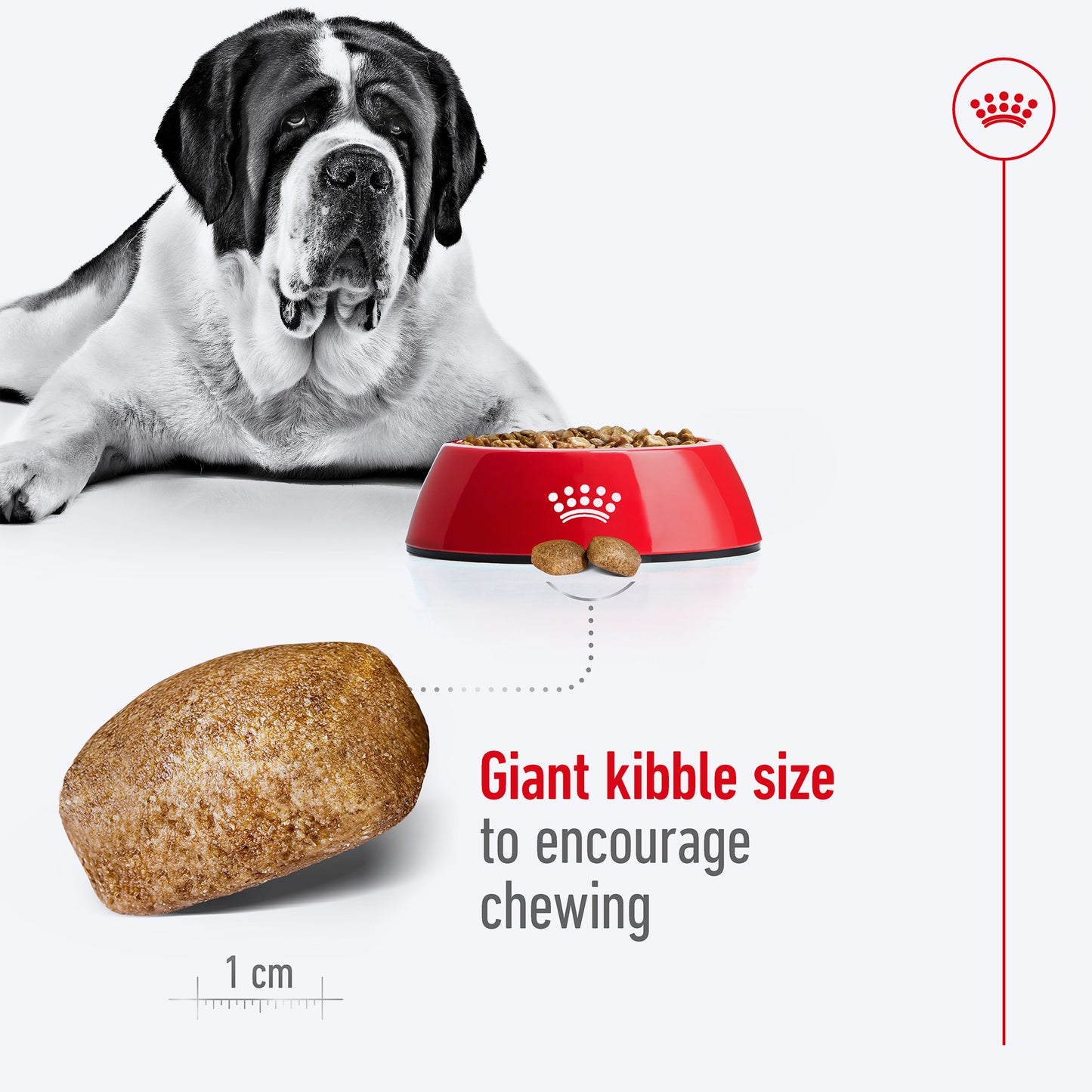 Royal Canin Giant Adult Dry Dog Food