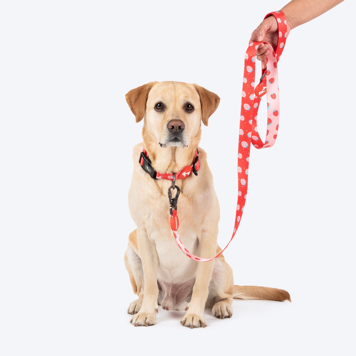 HUFT Berry Bliss Leash For Dog - Red - Heads Up For Tails