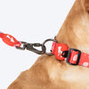 HUFT Berry Bliss Leash For Dog - Red - Heads Up For Tails