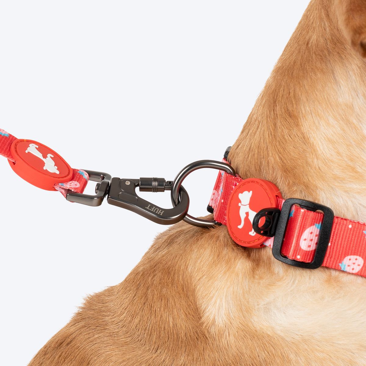 HUFT Berry Bliss Leash For Dog - Red - Heads Up For Tails
