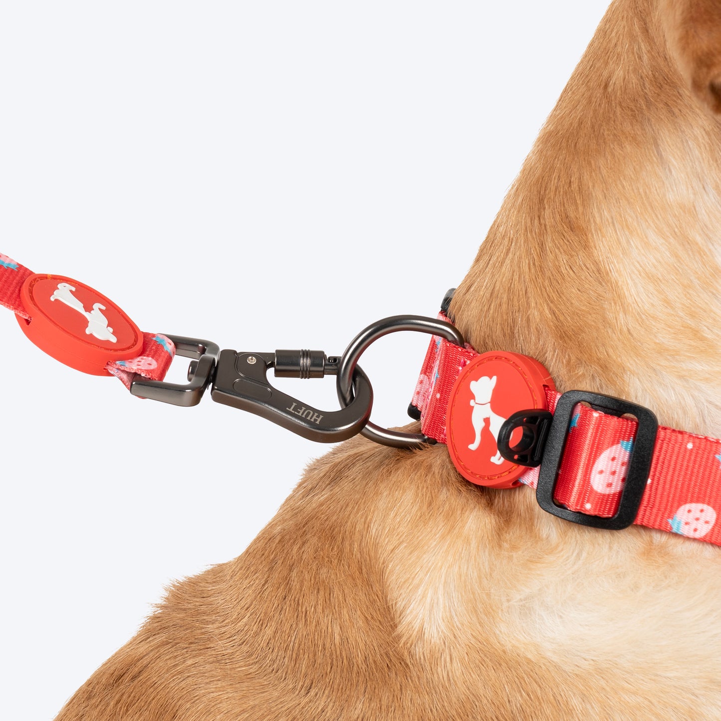HUFT Berry Bliss Leash For Dog - Red - Heads Up For Tails