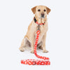 HUFT Berry Bliss Leash For Dog - Red - Heads Up For Tails