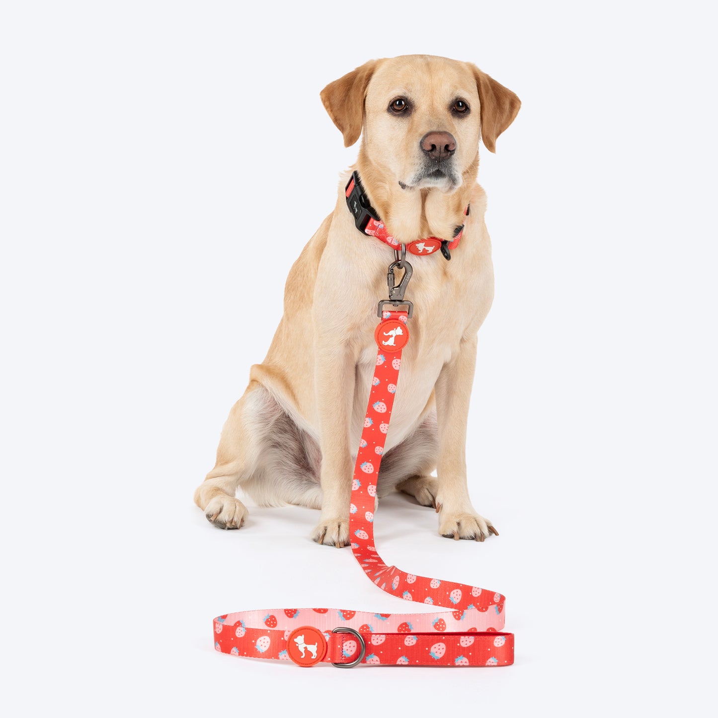 HUFT Berry Bliss Leash For Dog - Red - Heads Up For Tails