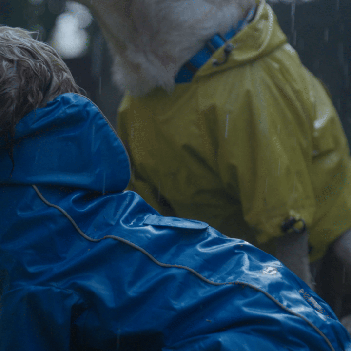 HUFT Neon Shower Dog Raincoat - Neon Green & Deep Blue
