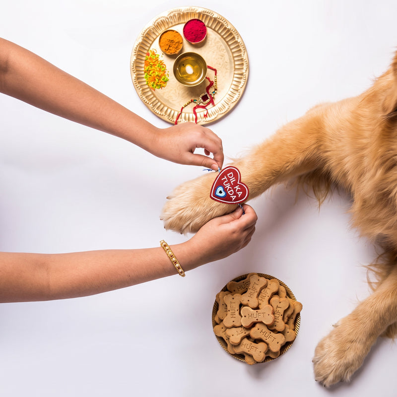 HUFT Dil Ka Tukda Tie Rakhi For Dog & Cat - Red