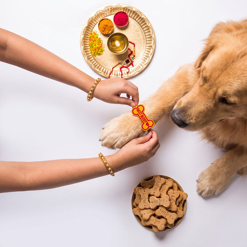 HUFT Best Buddy Tie Rakhi For Dog & Cat - Yellow
