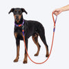 Dash Dog Chaser Rope Leash For Dog - Red