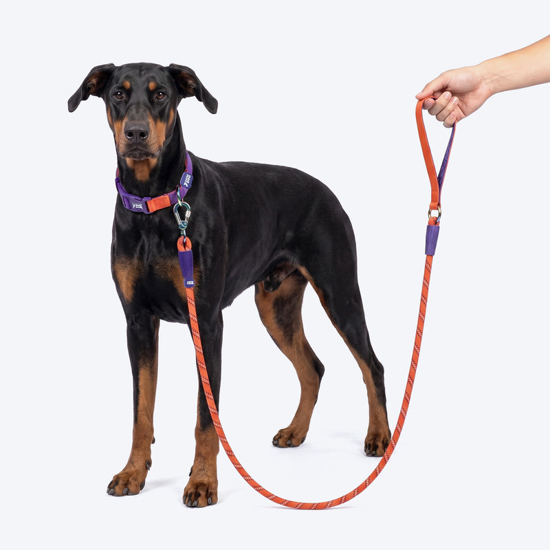Dash Dog Chaser Rope Leash For Dog - Red