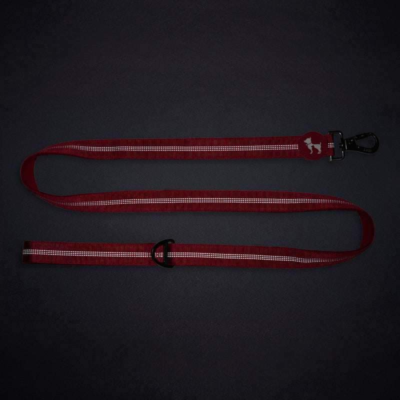 HUFT Comfort Plus Leash For Dog - Red - Heads Up For Tails