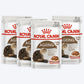 Royal Canin Ageing 12+ Gravy Wet Cat Food - 85 g packs