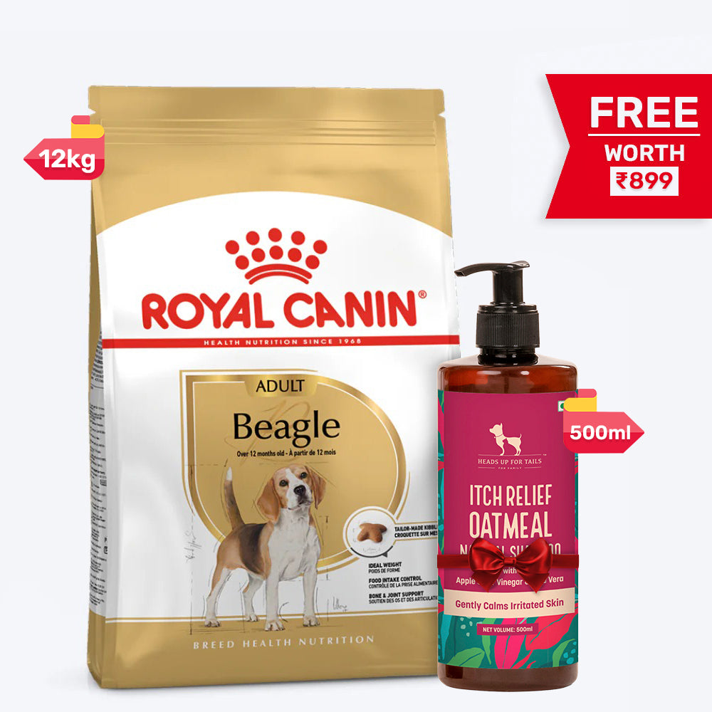 Royal Canin Beagle Adult Dry Dog Food