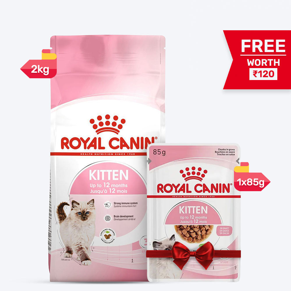 Royal Canin Kitten Dry Cat Food - Heads Up For Tails