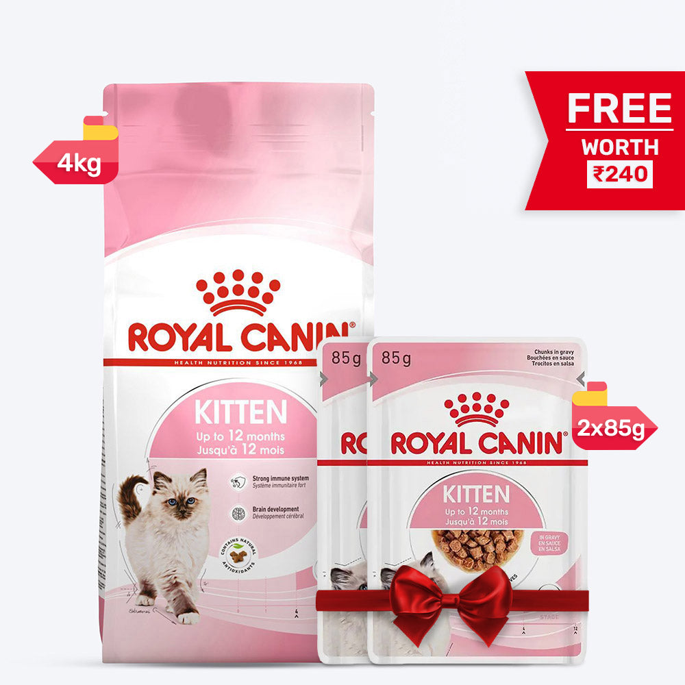 Royal Canin Kitten Dry Cat Food - Heads Up For Tails