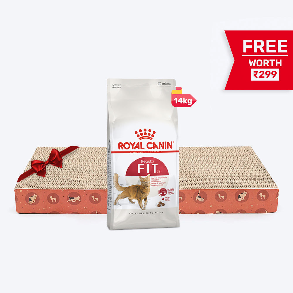 Royal Canin Fit 32 Adult Dry Cat Food